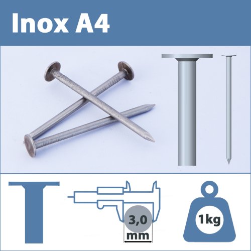 Pointe Inox A4 (316L) 3 X 50 mm lisse tête plate large  1kg